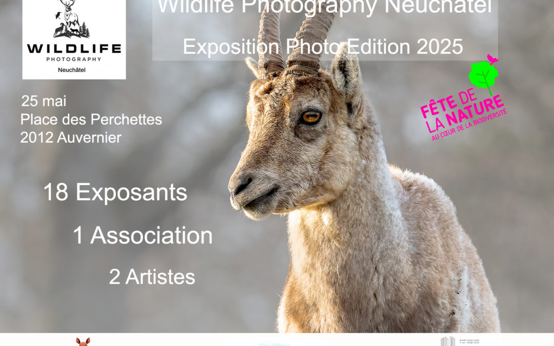Exposition 2025